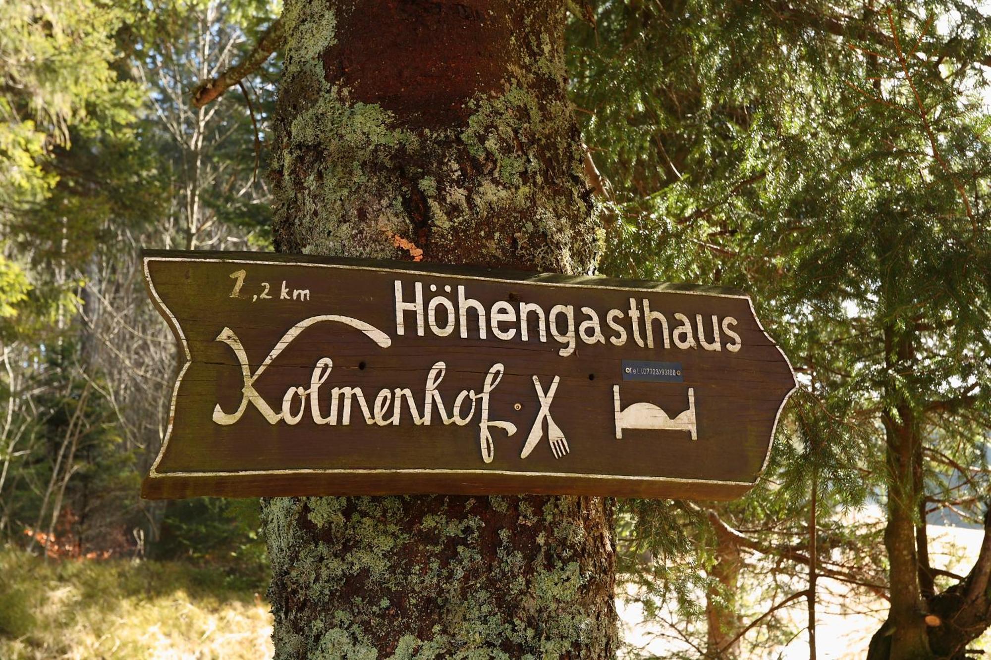 Hoehengasthaus Kolmenhof An Der Donauquelle 푸르트완겐 외부 사진