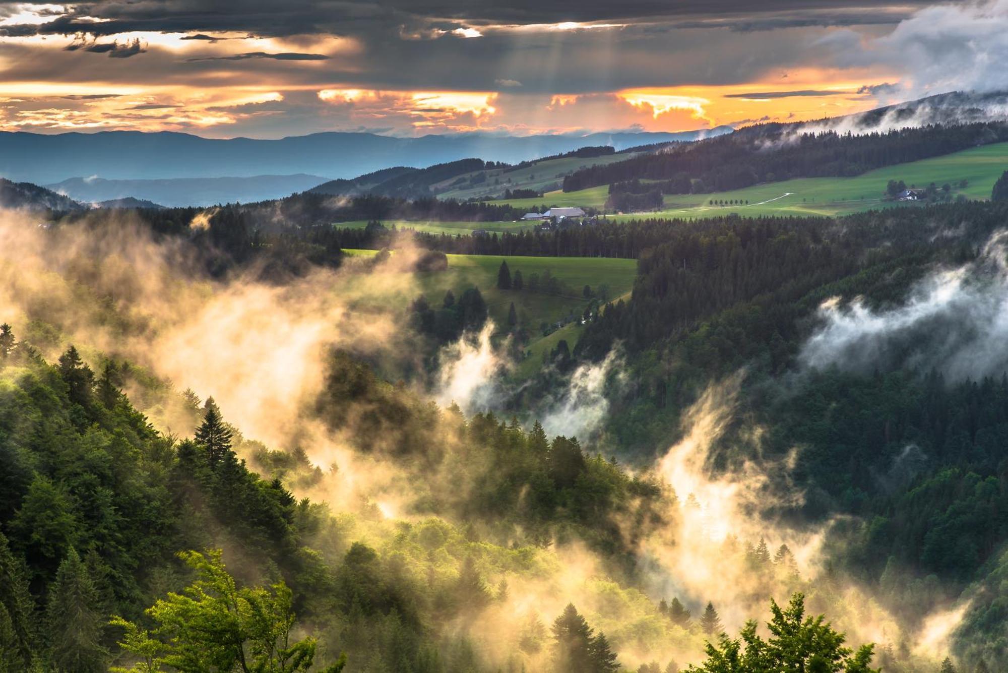 Hoehengasthaus Kolmenhof An Der Donauquelle 푸르트완겐 외부 사진